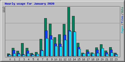 Hourly usage for January 2020